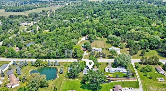 7451 Johnson Rd, Flushing, MI 48433 - photo 33