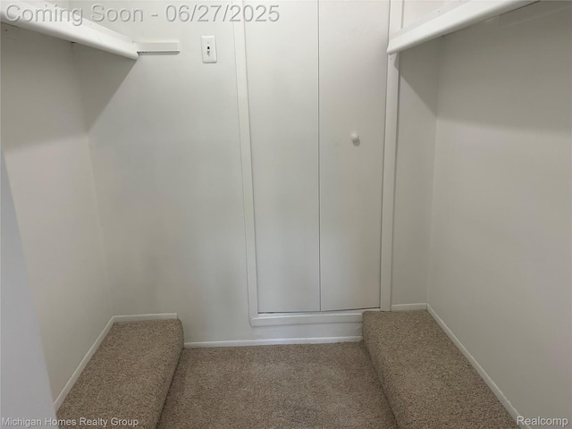 30028 W 12 Mile Rd, Farmington, MI 48334 - walk in closet with carpet flooring