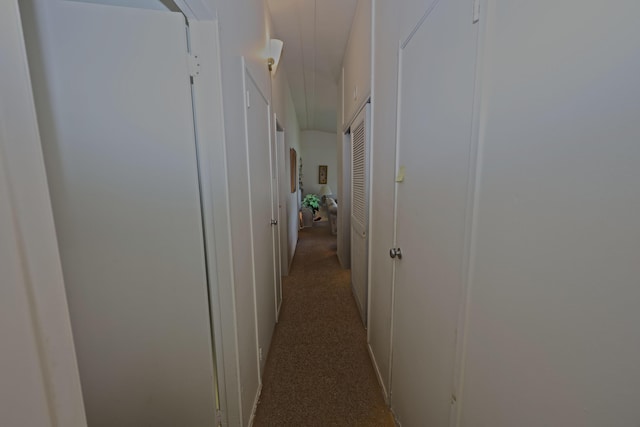 31467 Maple Island Rd, Dowagiac, MI 49047 - hall with carpet flooring