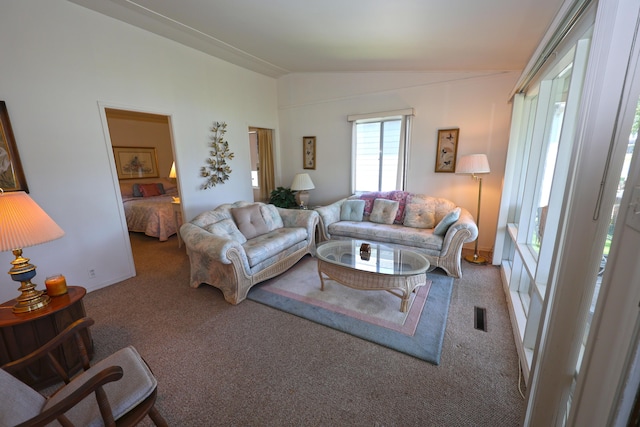 31467 Maple Island Rd, Dowagiac, MI 49047 - living area with vaulted ceiling and carpet