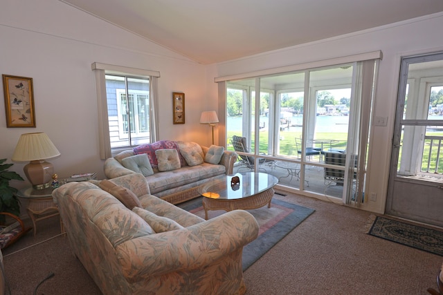 31467 Maple Island Rd, Dowagiac, MI 49047 - living area with lofted ceiling, a water view, plenty of natural light, and carpet