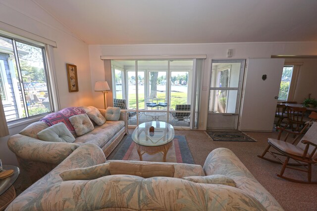 31467 Maple Island Rd, Dowagiac, MI 49047 - carpeted living area with plenty of natural light, vaulted ceiling, and a water view