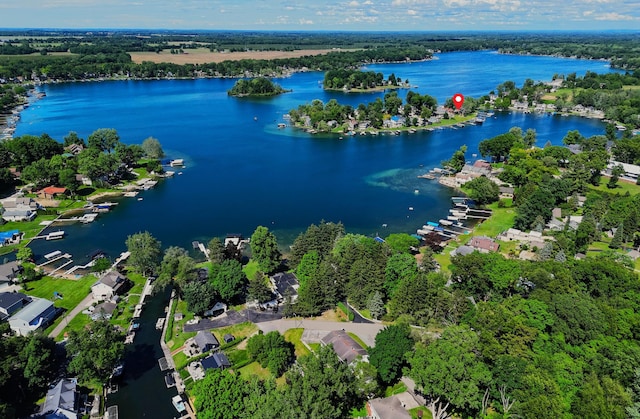 31467 Maple Island Rd, Dowagiac, MI 49047 - aerial view of residential area featuring a nearby body of water