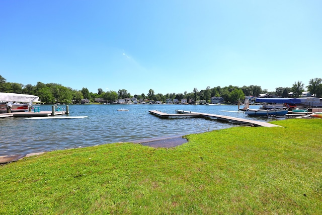 31467 Maple Island Rd, Dowagiac, MI 49047 - dock area with a lawn and a water view