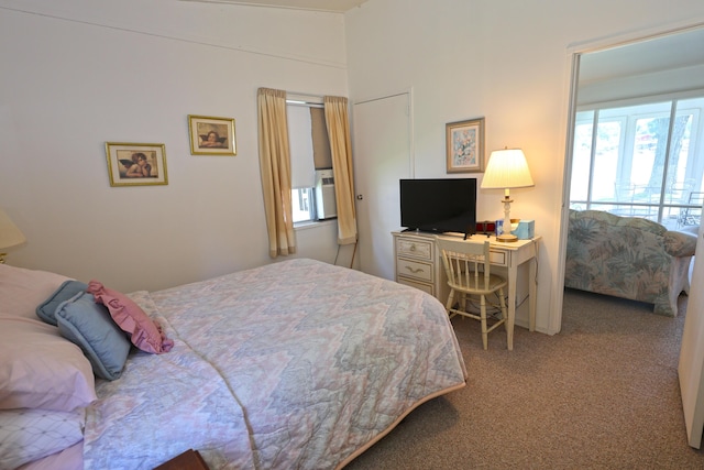31467 Maple Island Rd, Dowagiac, MI 49047 - bedroom with carpet floors and cooling unit