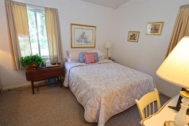 31467 Maple Island Rd, Dowagiac, MI 49047 - carpeted bedroom featuring lofted ceiling