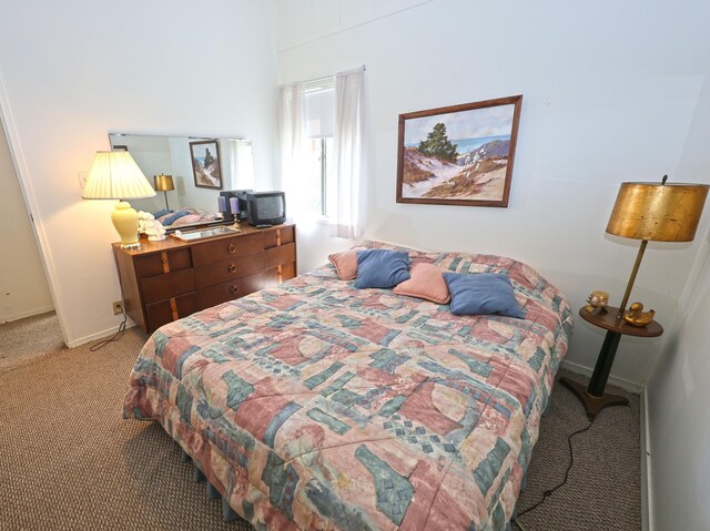 31467 Maple Island Rd, Dowagiac, MI 49047 - bedroom featuring carpet floors