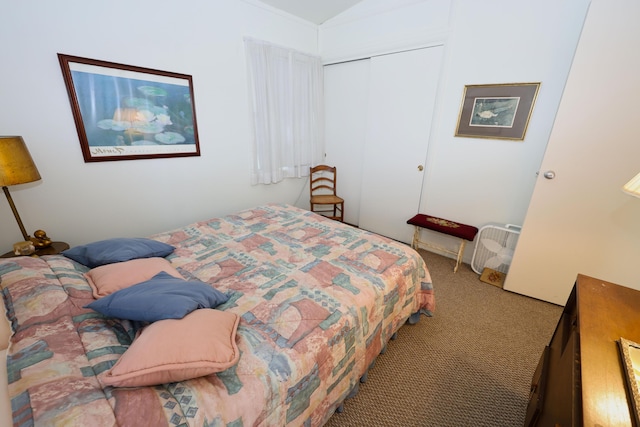 31467 Maple Island Rd, Dowagiac, MI 49047 - carpeted bedroom featuring a closet and vaulted ceiling