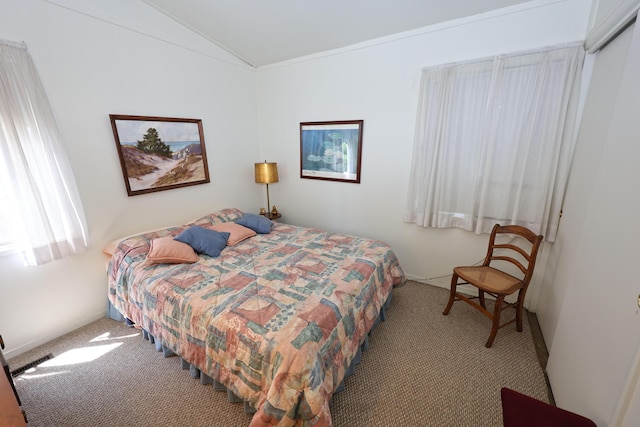 31467 Maple Island Rd, Dowagiac, MI 49047 - bedroom with carpet, lofted ceiling, and a closet