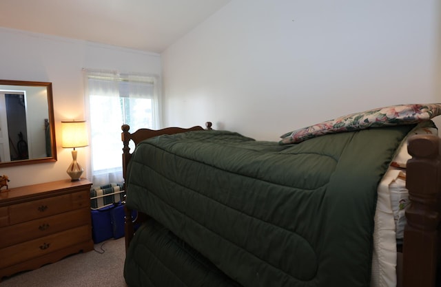 31467 Maple Island Rd, Dowagiac, MI 49047 - bedroom featuring light colored carpet