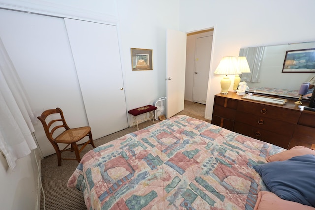 31467 Maple Island Rd, Dowagiac, MI 49047 - carpeted bedroom with a closet