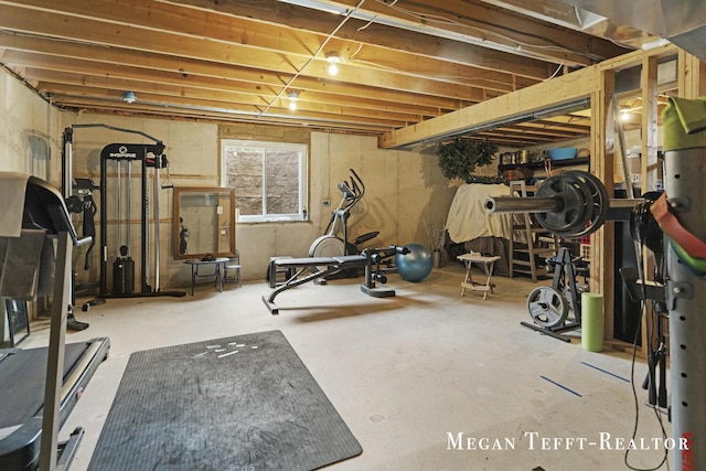 6641 Laguna Vista Dr NE, Rockford, MI 49341 - view of exercise area