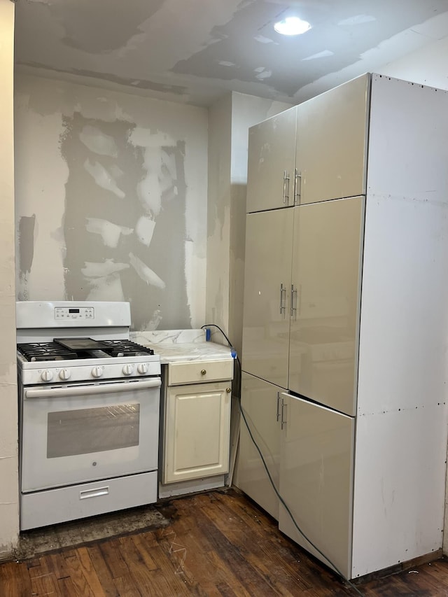 3742 W Grand St, Detroit, MI 48238 - kitchen with white gas range, dark wood-style flooring, and light countertops