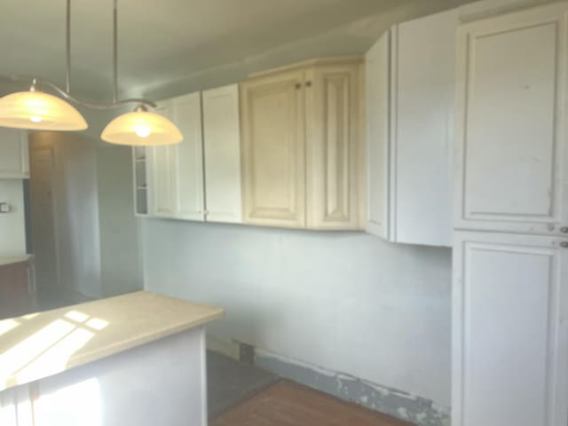 3742 W Grand St, Detroit, MI 48238 - kitchen with light countertops, decorative light fixtures, and wood finished floors