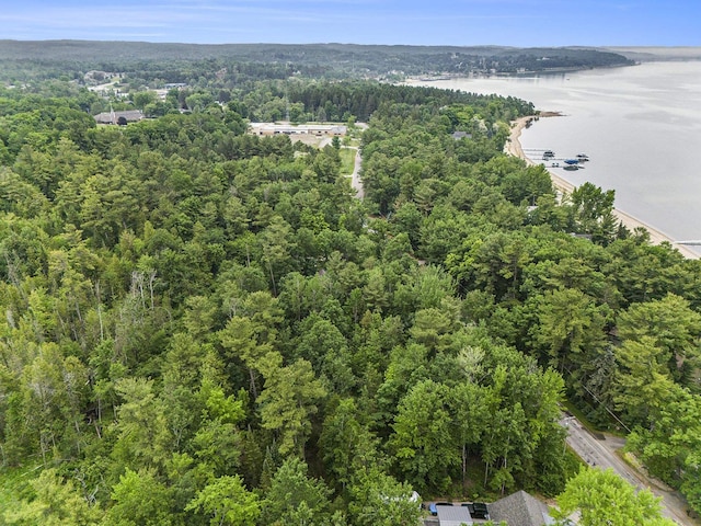 00 Deepwater Point Rd, Williamsburg, MI 49690