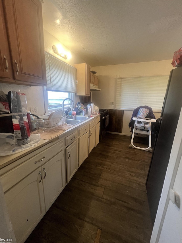 1297 W Kurtz Ave, Flint, MI 48505 - kitchen featuring dark wood-style flooring, light countertops, a textured ceiling, and under cabinet range hood