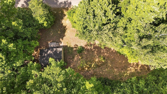 2814 Musser Rd, Mancelona, MI 48659