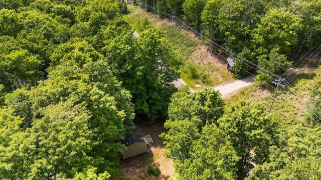 2814 Musser Rd, Mancelona, MI 48659