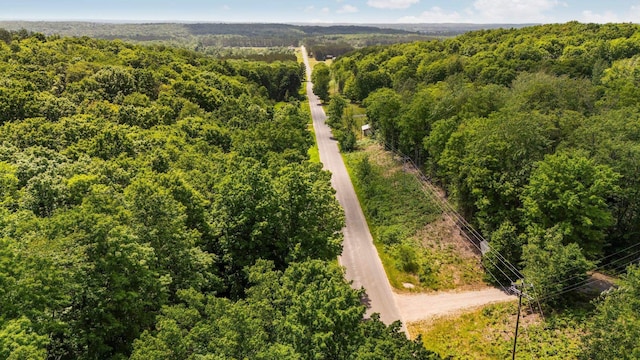 2814 Musser Rd, Mancelona, MI 48659