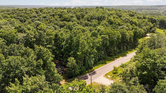 2814 Musser Rd, Mancelona, MI 48659