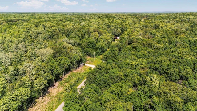 2814 Musser Rd, Mancelona, MI 48659
