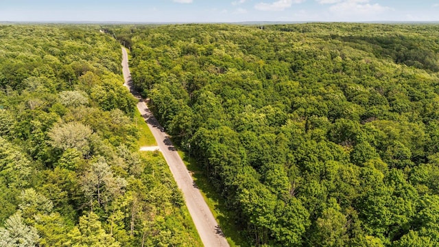 2814 Musser Rd, Mancelona, MI 48659