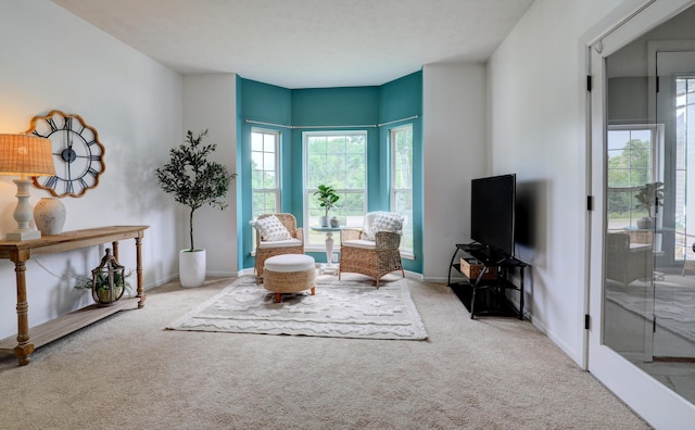 10895 Riley St, Zeeland, MI 49464 - sitting room with carpet and baseboards