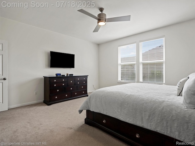 26559 Derby Ct, South Lyon, MI 48178 - photo 25