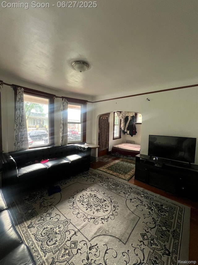 11568 Saint Aubin St, Hamtramck, MI 48212 - photo 4