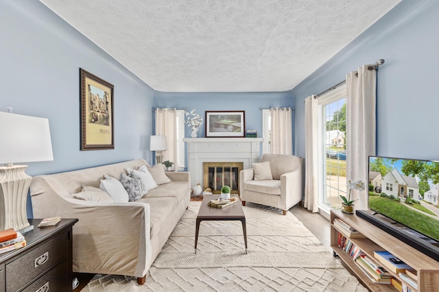 2013 Duiker Ave NE, Grand Rapids, MI 49505 - living area with a textured ceiling and a glass covered fireplace