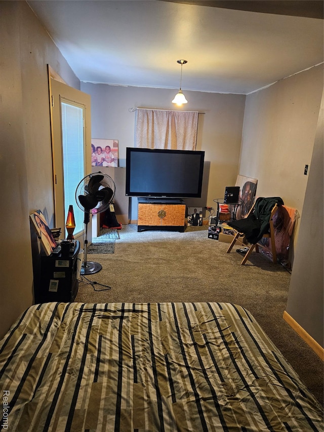 22638 Chippewa St, Detroit, MI 48219 - view of carpeted bedroom