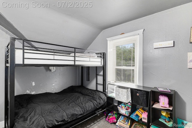 1323 Rhodes St, Jackson, MI 49202 - bedroom with lofted ceiling