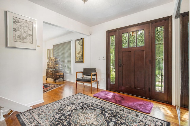 3924 Penberton Dr, Ann Arbor, MI 48105 - foyer featuring wood finished floors and baseboards