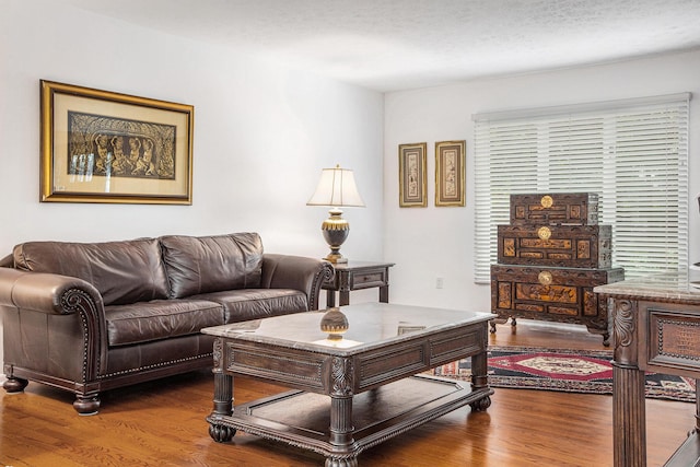 3924 Penberton Dr, Ann Arbor, MI 48105 - living area featuring wood finished floors and a textured ceiling