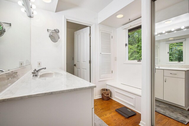 3924 Penberton Dr, Ann Arbor, MI 48105 - bathroom featuring vanity, wood finished floors, and plenty of natural light
