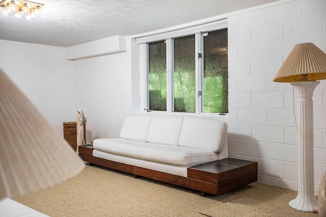 3924 Penberton Dr, Ann Arbor, MI 48105 - interior space with concrete block wall and a textured ceiling