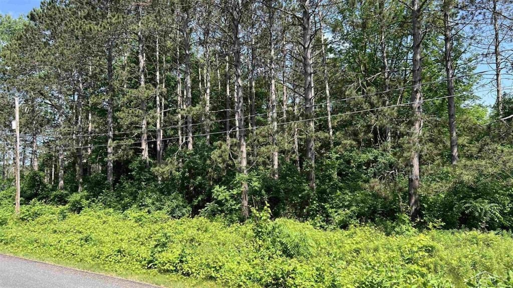 VL W Ingham Rd, Sanford, MI 48657 - photo 3