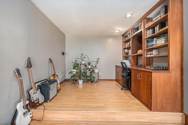 4102 Tomahawk Way, Saint Joseph, MI 49085 - home office with light wood-style flooring and a textured ceiling