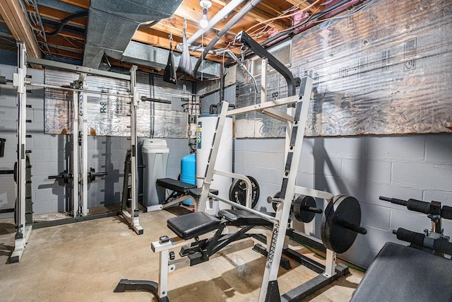 4102 Tomahawk Way, Saint Joseph, MI 49085 - workout area featuring concrete block wall