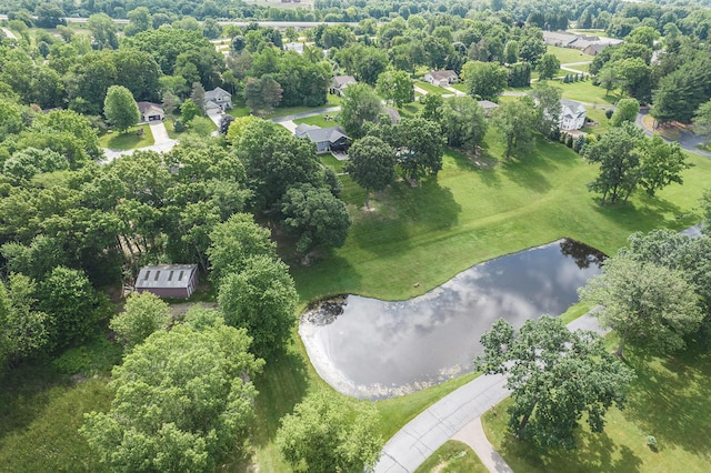 3912 Pine Crest Ct, Jackson, MI 49203 - photo 41