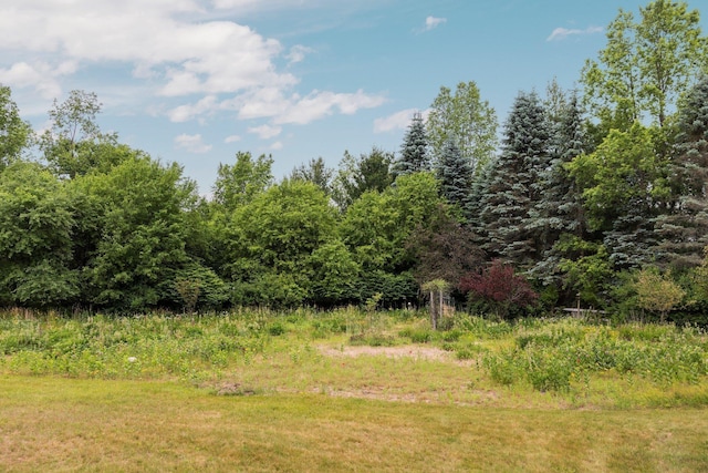 6239 Lancaster Ln, Cadillac, MI 49601 - photo 12