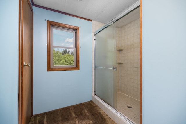6239 Lancaster Ln, Cadillac, MI 49601 - photo 36