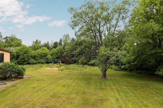 6239 Lancaster Ln, Cadillac, MI 49601 - photo 49