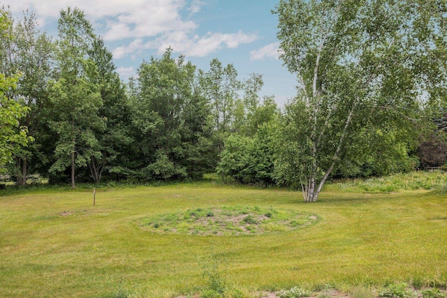 6239 Lancaster Ln, Cadillac, MI 49601 - photo 5