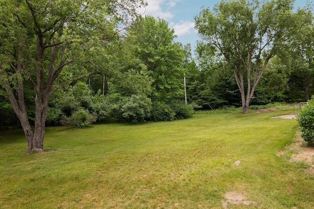 6239 Lancaster Ln, Cadillac, MI 49601 - photo 50