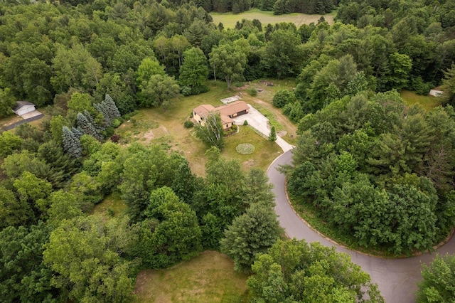 6239 Lancaster Ln, Cadillac, MI 49601 - photo 56