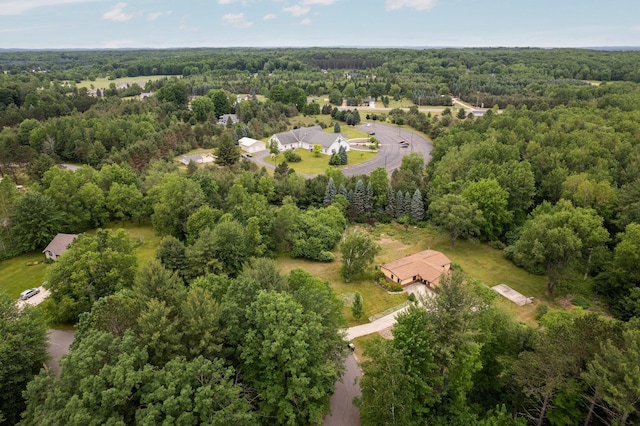 6239 Lancaster Ln, Cadillac, MI 49601 - photo 58