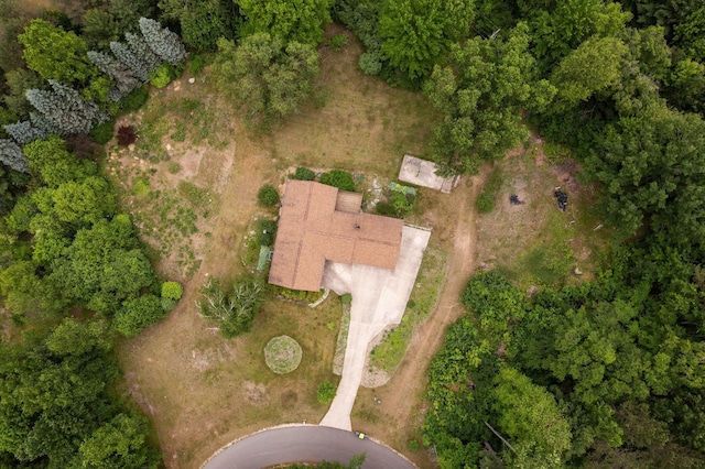 6239 Lancaster Ln, Cadillac, MI 49601 - photo 59