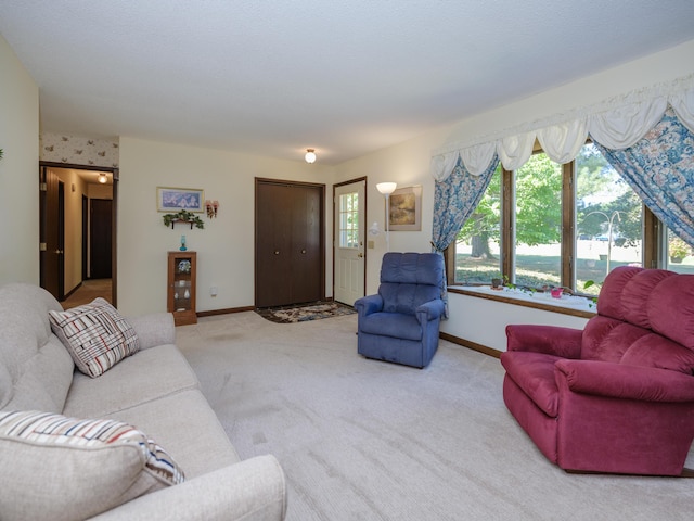 461 19th St, Otsego, MI 49078 - living room featuring carpet flooring and baseboards
