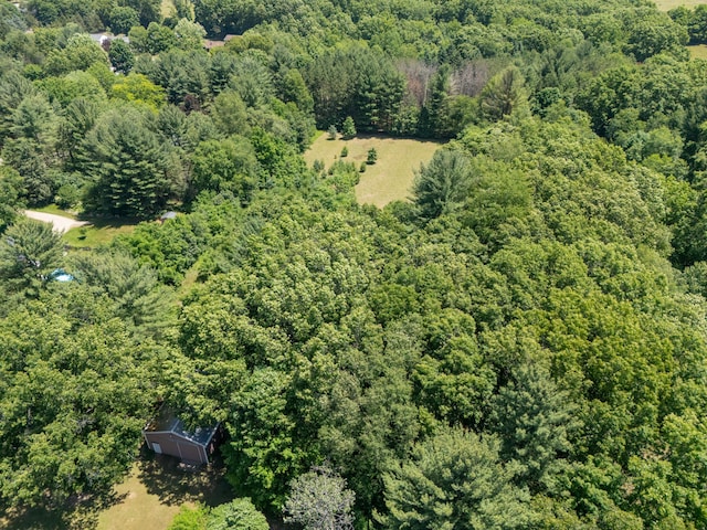 461 19th St, Otsego, MI 49078 - drone / aerial view of a heavily wooded area
